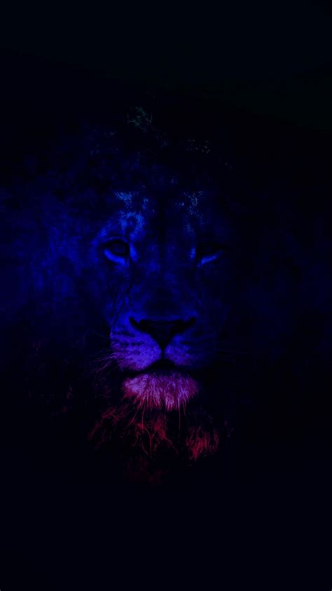 Dark Lion Wallpapers - Top Free Dark Lion Backgrounds - WallpaperAccess