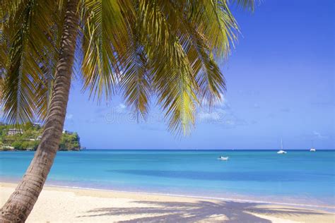 Morne Rouge Beach in Grenada, Caribbean Stock Image - Image of beach ...