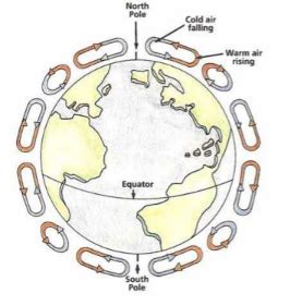 Env Sci Weather And Climate Unit Review Flashcards Quizlet