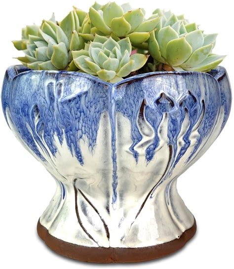 Amazon Summer Impressions Inch Glazed Terracotta Plant Pot