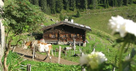 Traumhafte Almwanderung in Maria Alm am Steinernen Meer Schöne Heimat