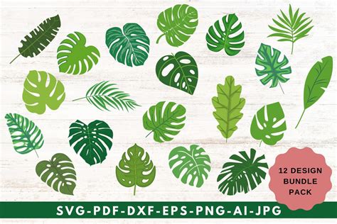 Tropical Leaves Svg Bundle Tropical Leaf Svg Palm Leaves Svg Palm