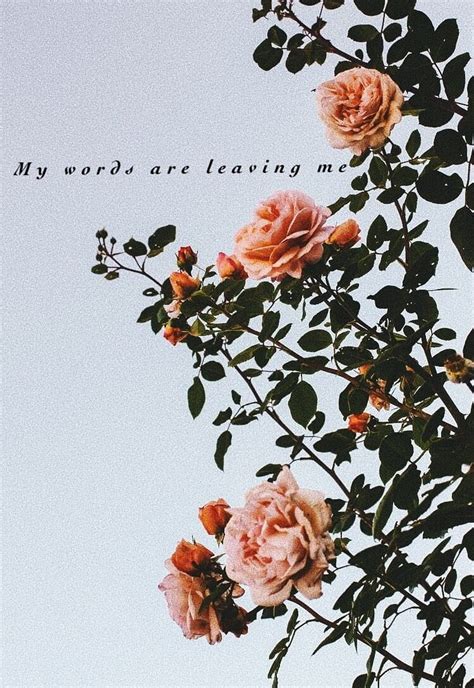 Top 58+ floral aesthetic wallpaper best - in.cdgdbentre