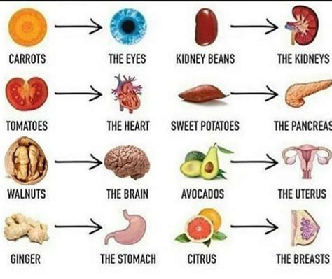 Foods That Fit Your Organs Peachtree Naturopathic Alternative Medicine