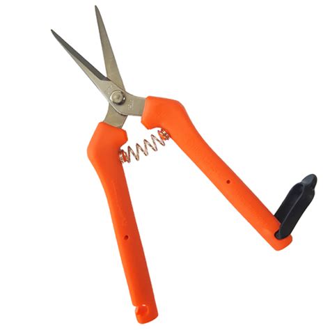 Chikamasa Scissors: Wholesale Harvest Supply
