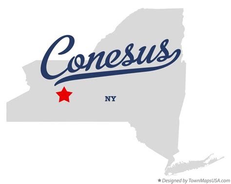 Map Of Conesus NY New York