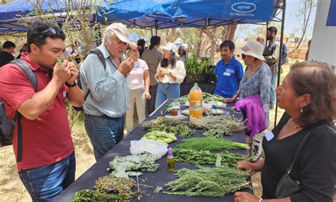 Escuelas De Campo Agricultores Compartieron Conocimientos Sobre