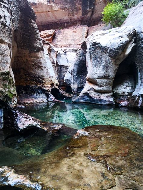 The fabulous Subway slot canyon in Zion National Park. [3000x4000] [OC ...