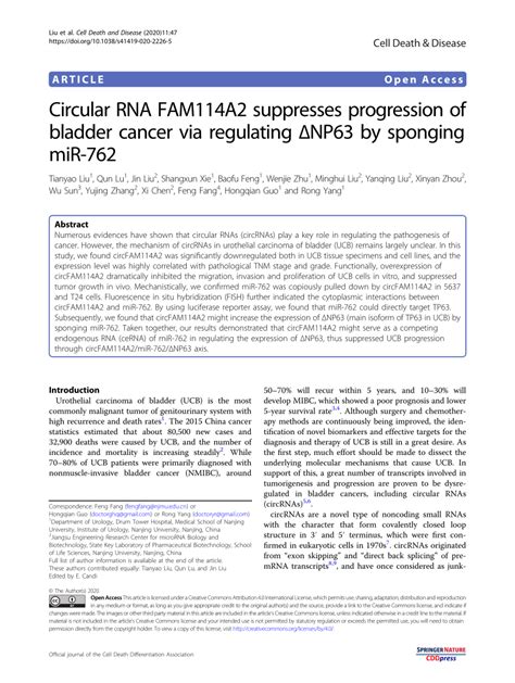 Pdf Circular Rna Fam A Suppresses Progression Of Bladder Cancer