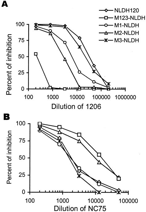 The Role Of The Third β Strand In Gp120 Conformation And Neutralization