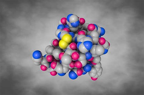 Human Insulin Space Filling Molecular Model On Gray Background 3d