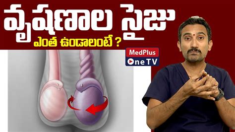 Dr Surendra Reddy Clarifies Doubts Abouttesticular Size Medplusonetv Youtube