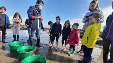 VIDEO quand les raies de lOcéarium du Croisic prennent la mer pour