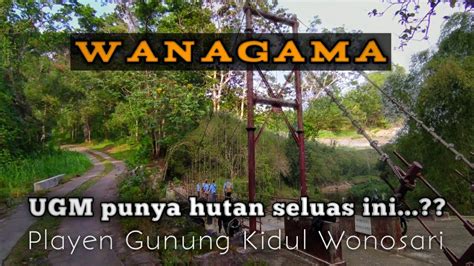 Jalan Menuju Hutan Wanagama Ugm Playen Gunung Kidul Youtube