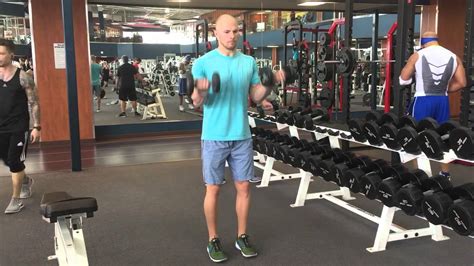 Supinated Dumbbell Curl Youtube