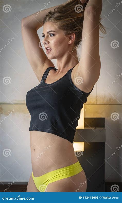 Blonde Lingerie Model In A Home Environment Stock Image Image Of Adult Implied 142416603