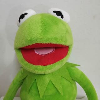 Kermit Grande 50cm Lindissimo Os Muppets Caco O Sapo Shopee Brasil