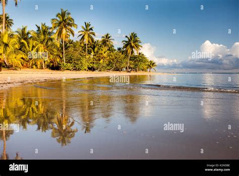 Tropical Beach In Samaná Dominican Republic Stock Photo Alamy