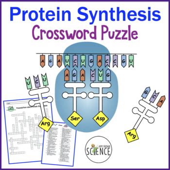 Protein Synthesis And Translation Crossword Puzzle By Amy Brown Science