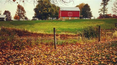 Heres What To Do If Your Neighbors Fall Leaves End Up In Your Yard