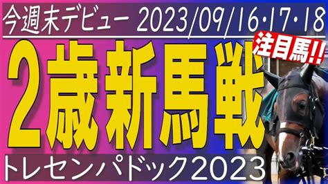 2歳新馬戦の注目馬を映像チェック 2023年9月161718日に実戦デビュー。馬の詳細は概要欄に。最短目的レースまでのチャプター可