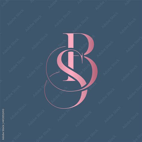BS letter logo alphabet monogram icon symbol Stock Vector | Adobe Stock