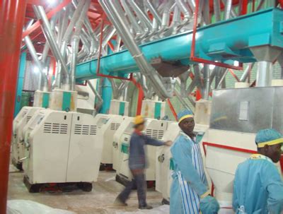 Wheat Flour Mill Project is Popular in India