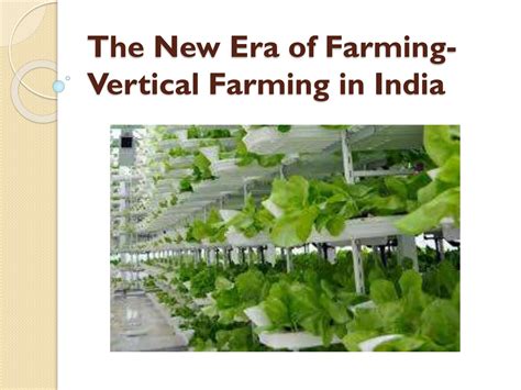 The New Era Of Farming Vertical Farming In India By Asagri Aqua Issuu