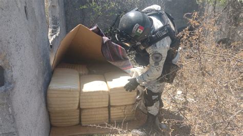 Guardia Nacional Decomisa 100 Kilos De Marihuana En Escobedo