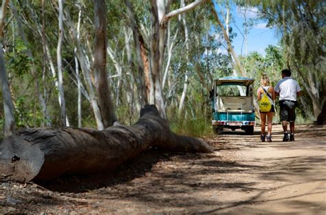 Exploring Alice Springs Desert Park - The Five Foot Traveler