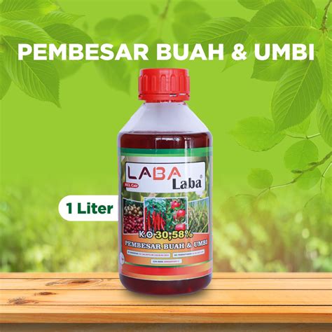 Jual Pupuk Pembesar Buah Dan Umbi KCL Cair LABA LABA Pupuk Dewa Dewi