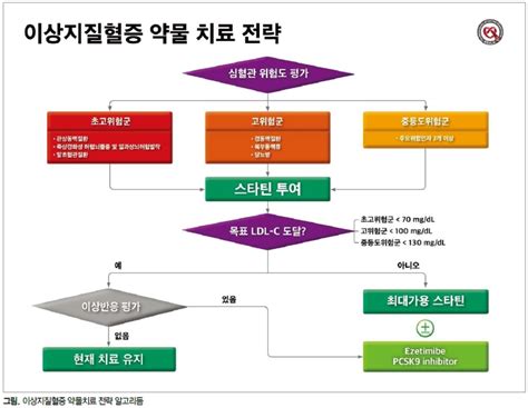 한국형 이상지질혈증 진료지침 공개 The Most