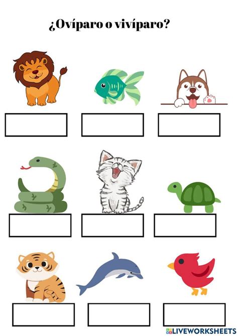 Jacaré É Ovíparo Ou Vivíparo - ¿Ovíparo o vivíparo? worksheet | Oviparous vs viviparous, Oviparous ...