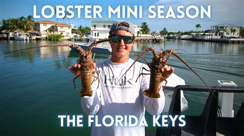 Lobster Mini Season In The Florida Keys 2021 II How To Find Lobster II