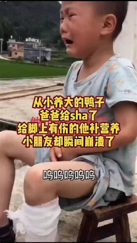 从小养大的鸭子被爸爸给杀了，小朋友瞬间崩溃了新浪新闻