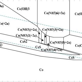 Oxidation of thiosulfate by Cu(II) involving the formation of ...