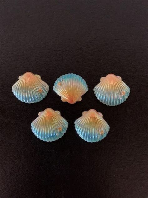 5 Seashell Flatbacks Seashell Cabochon Seashell Flats Seashell