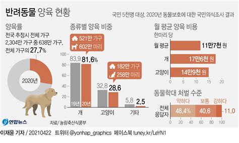 그래픽 반려동물 양육 현황 연합뉴스