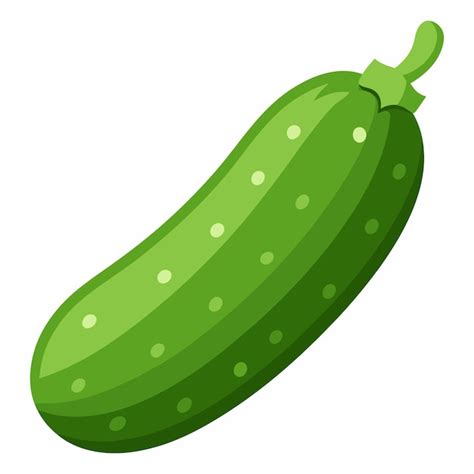 Premium Vector Cucumber Vector Illustration