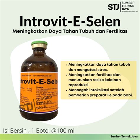 Introvit E Selen Injeksi 100 Ml Vitamin Meningkatkan Daya Tahan Tubuh