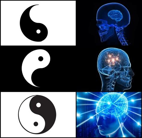 Galaxy Brain Yin Yang Blank Template Imgflip