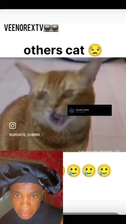 This Nigerian Cat Done The Chop Eba And Fufu😂😂 Viral Reels Goviral