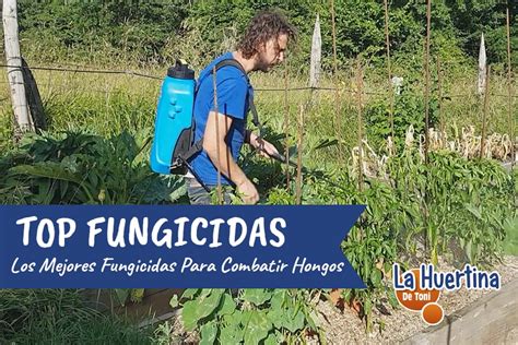 Los Mejores Fungicidas Para Combatir Hongos En Tus Plantas La Huertina De Toni