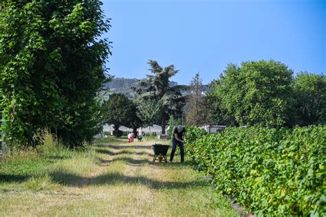 La Cueillette Les Fermes De Gally