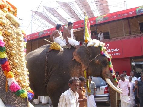 Thodupuzha, Kerala - Auroville Energy Products