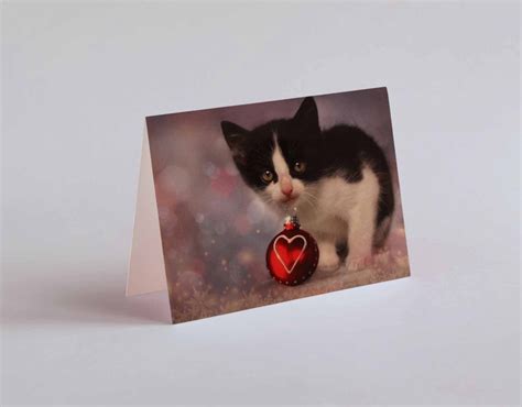 Printed Black And White Kitten Christmas Card Cat Greeting Card A