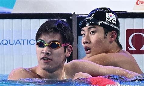 스포키 황선우 세계선수권 자유형 100m 최종 5위한국 수영 역대 최고 성적