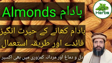 Health Benefits of Almonds Urdu Hindi Badam ke fayde بادام کے فوائد