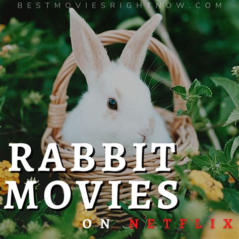 5 Rabbit Movies on Netflix - Best Movies Right Now