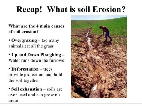 What Are The Main Causes Of Soil Erosion Edurev Class Question